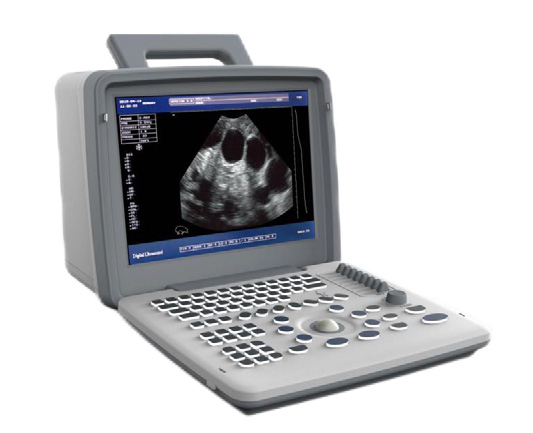 Ultrasound Scanner US-B300